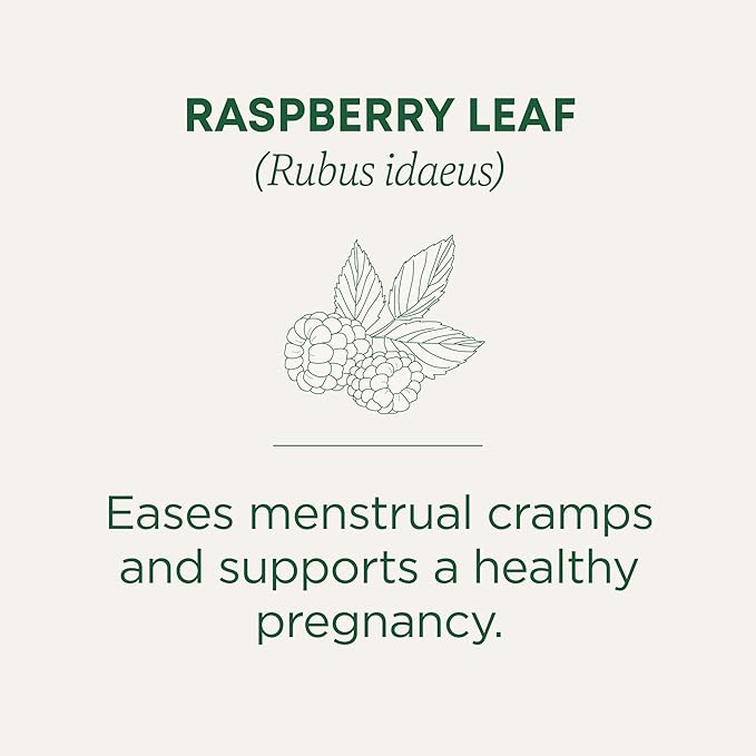 traditional medicinals organic raspberry leaf herbal tea 16 tea bags case of 6