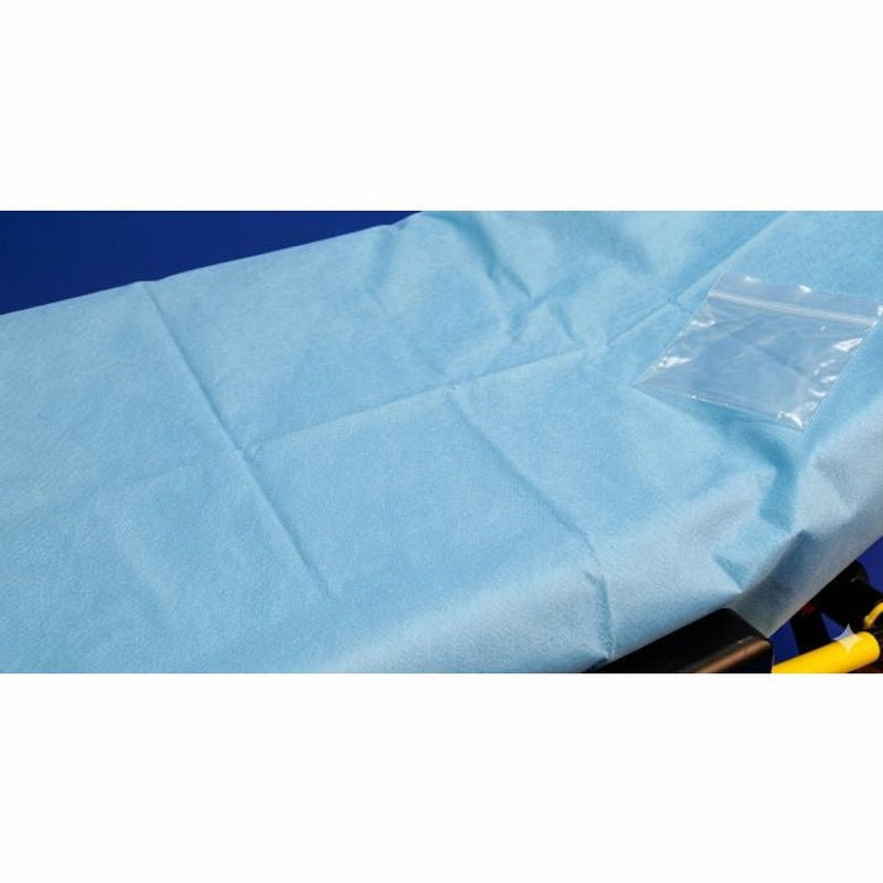 Stretcher Sheet SureFit Fitted Sheet 34 X 90 Inch Light Blue Nonwoven Polypropylene Disposable, Packaging Type- Case