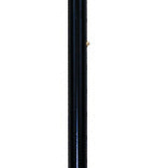 ProBasics Offset Cane with Strap (Black),