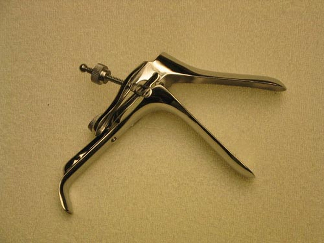 Graves Vaginal Speculum St/s Large