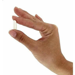 probiotic supplement 90 capsules