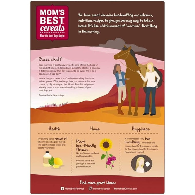 moms best raisin bran cereals case of 10 22 oz