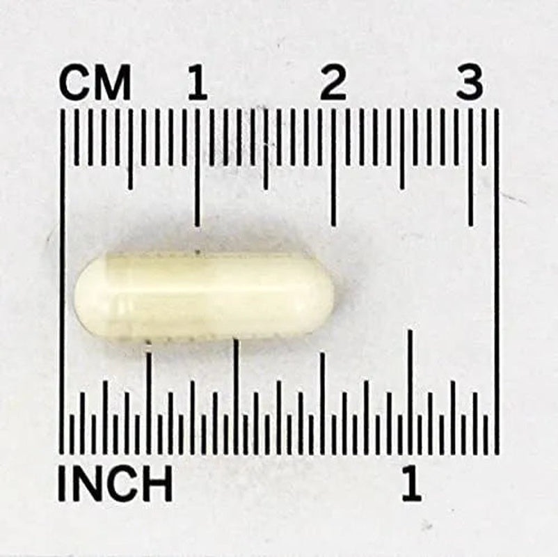 digestive health probiotic