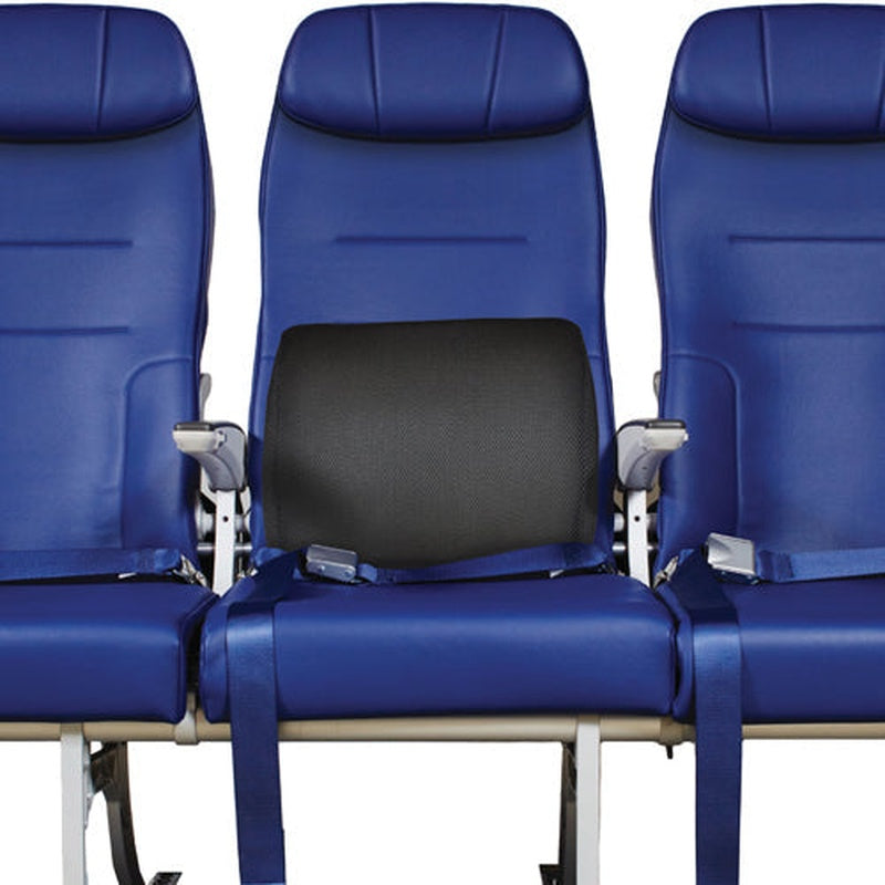 lumbar cushion w straps black memory foam blue jay