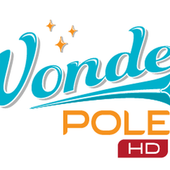 Wonder Pole HD - Heavy-Duty Adjustable Pole for Versatile Home Use, Ideal for Strength Training, Stability & Support. Enhance Your Space with Ease!