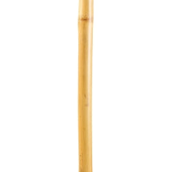 Walking Stick Brazos Free Form Wood 48 Inch Height Bamboo