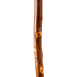 Walking Stick Brazos Free Form Wood 48 Inch Height Hawthorn