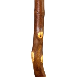 Walking Stick Brazos Free Form Wood 55 Inch Height Maple