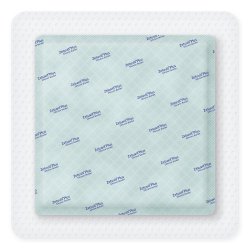 Super Absorbent Dressing Zetuvit® Plus Silicone Border Silicone Adhesive 8 X 8 Inch Square