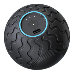 Vibration Therapy Exercise Ball Wave Solo Entire Body