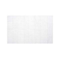 BZK Antiseptic Towelettes Size 5” x 7”
