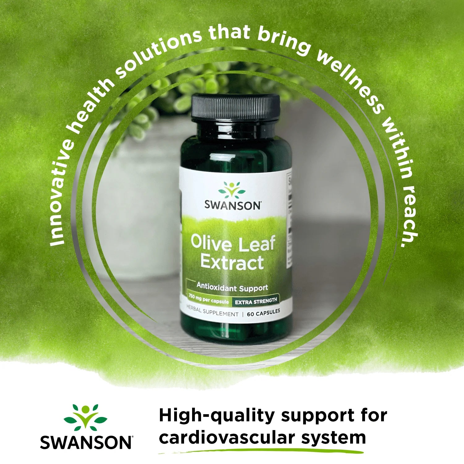 Herbal Supplements Extra Strength Olive Leaf Extract 750 Mg Capsule 60Ct