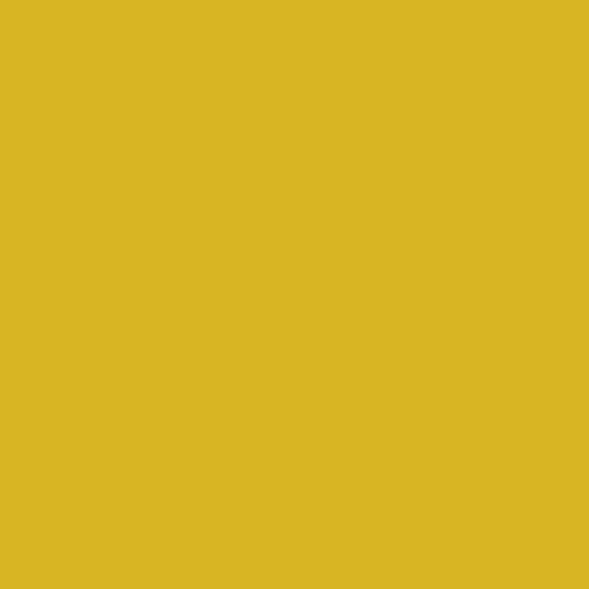 Cast Tape 3M Scotchcast Plus 3 Inch X 12 Foot Fiberglass / Resin Yellow,Packaging Type- Box