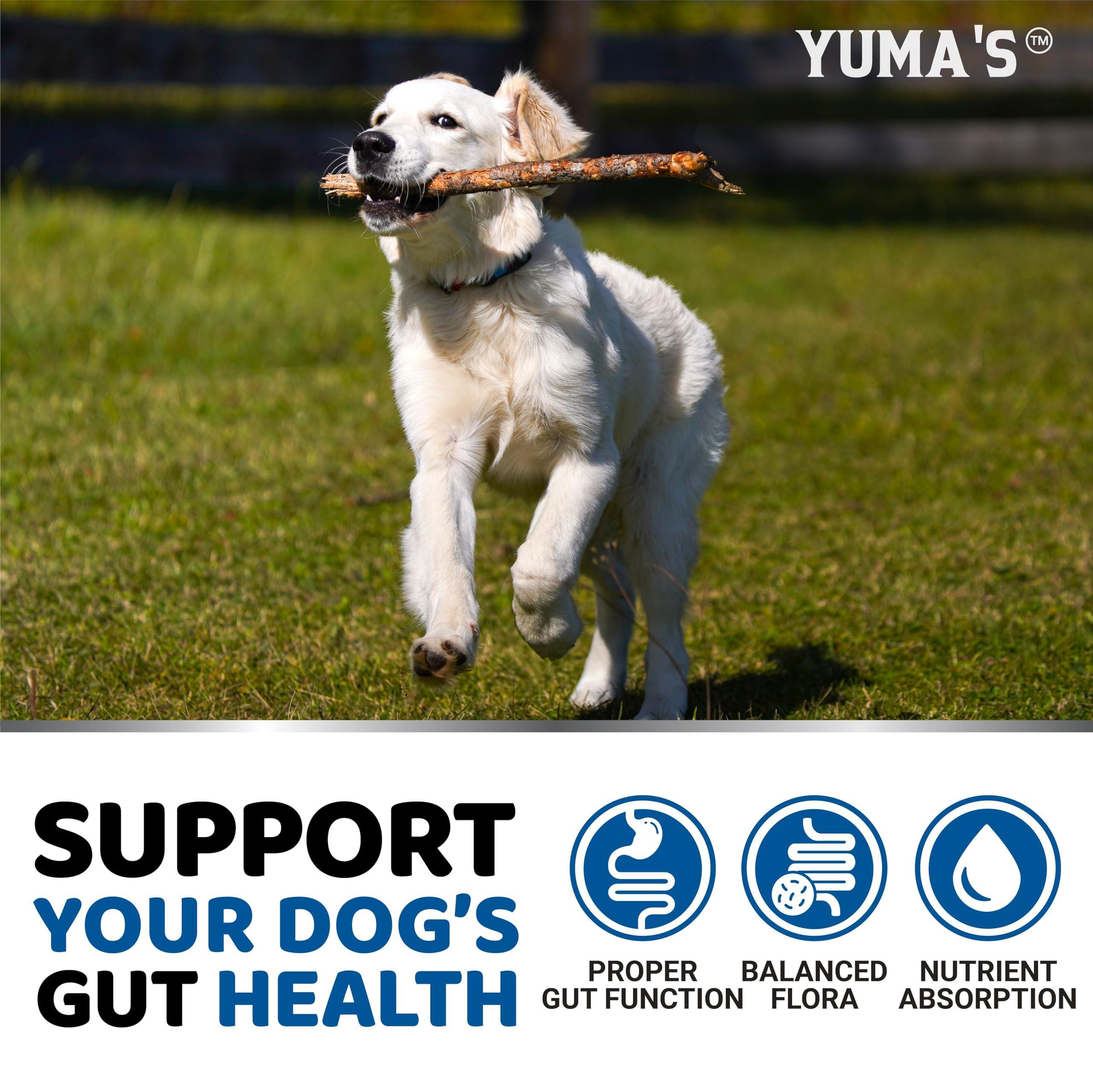YUMA'S Natural Probiotics for Dogs: Crafted in USA with Pumpkin and Enzymes   Soft Chews for Digestive Wellness and Gut Health