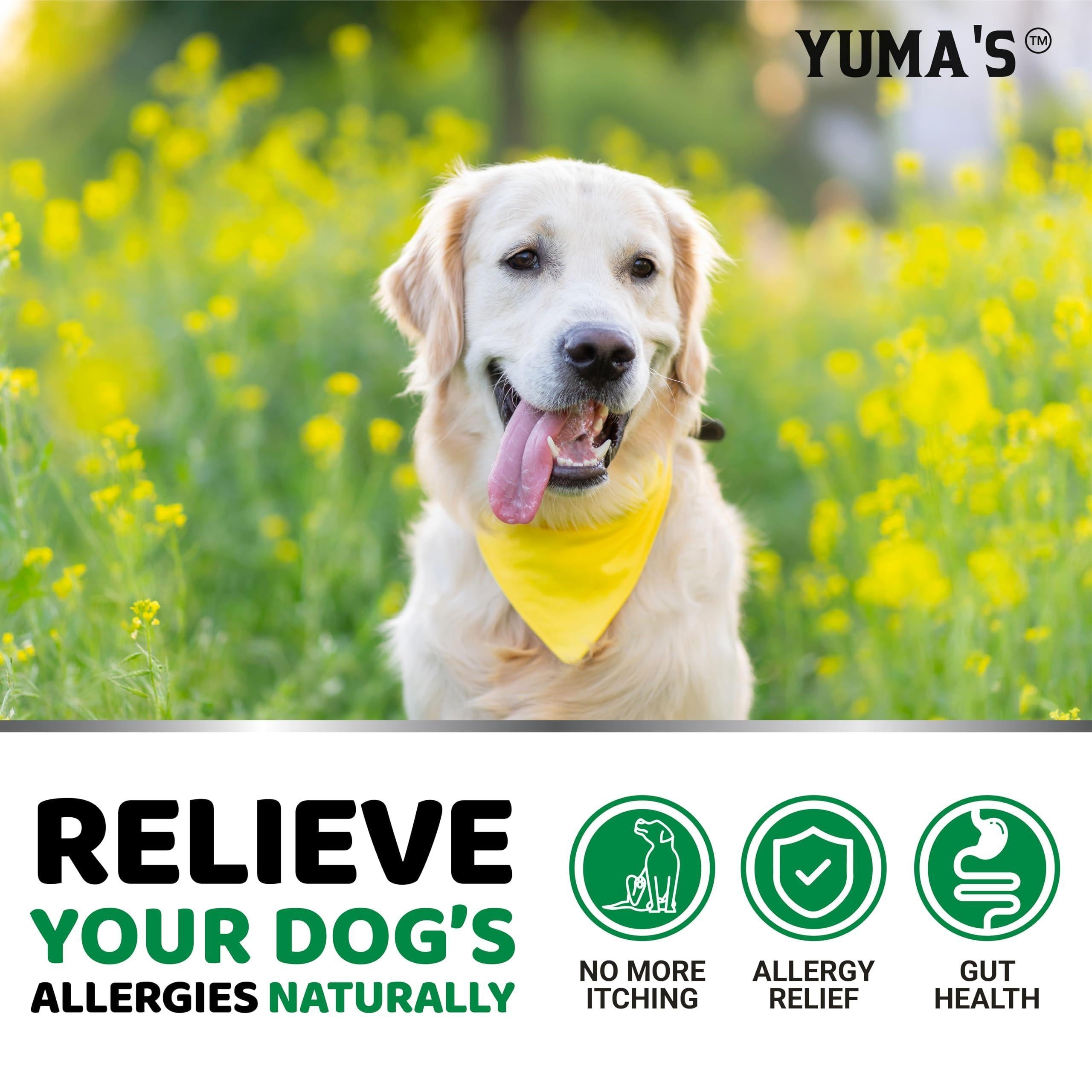 YUMA'S Dog Allergy Relief Chews   Dog Itching Skin Relief Treatment Pills   170 Treats   Anti Itch for Dogs   Itchy and Paw Licking   Dry Skin & Hot Spots   Omega 3 Fish Oil   Skin & Coat Supplement