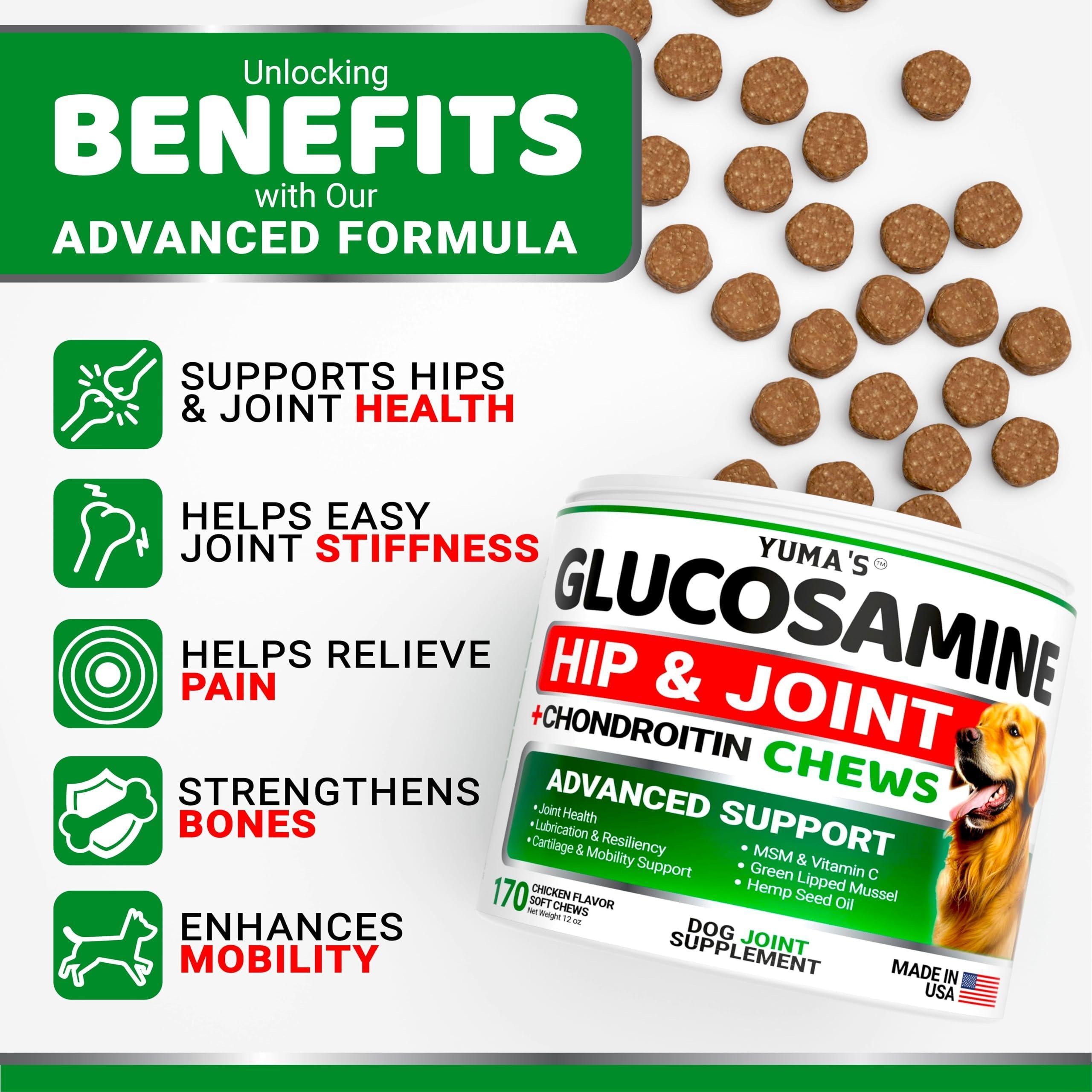 Glucosamine for Dogs   Hip and Joint Supplement for Dogs   170 Ct   Glucosamine Chondroitin for Dogs Chews   Dog Joint Pain Relief with MSM   Advanced Dog Joint Supplement Health   Mobility Support