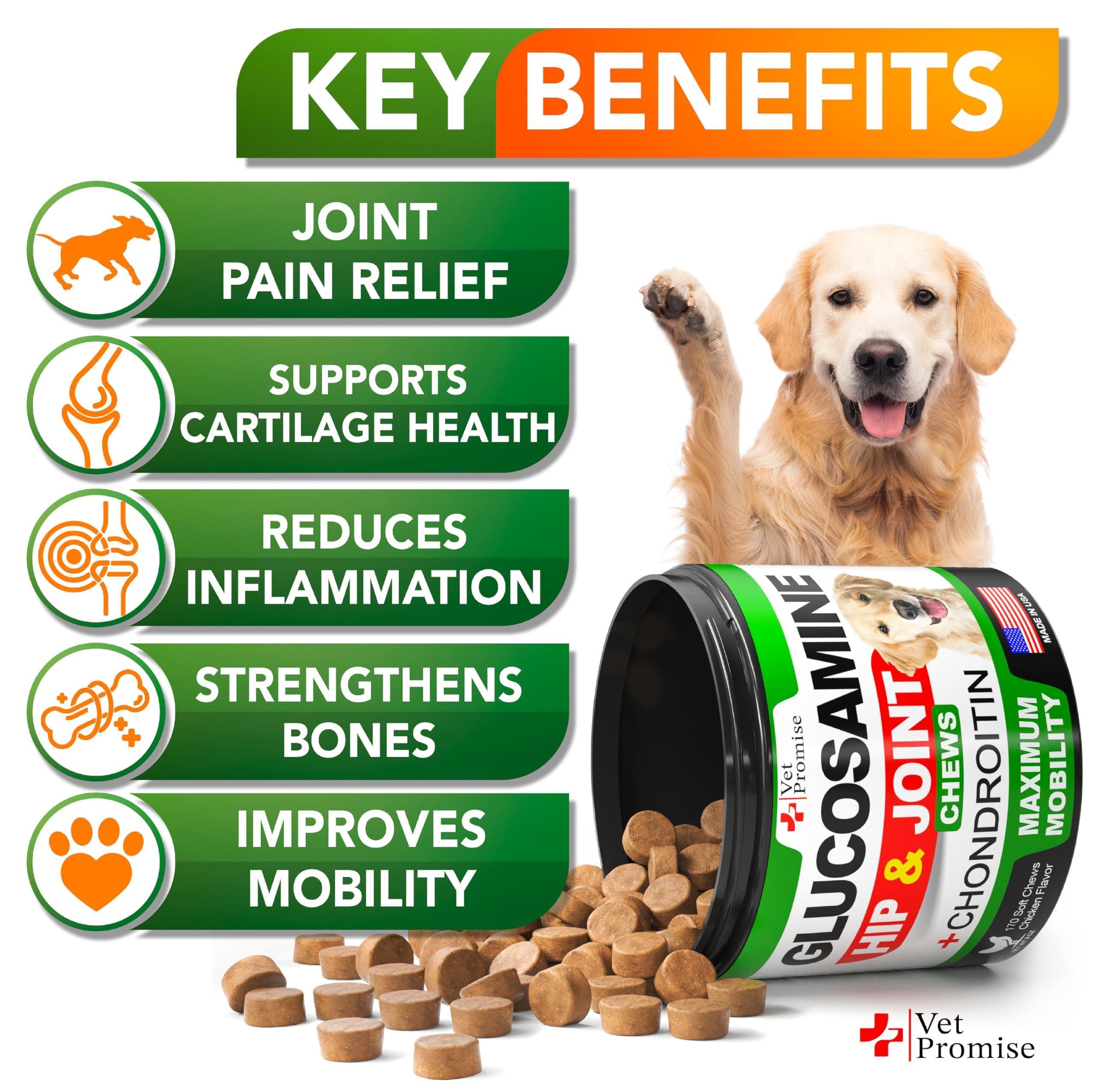 Glucosamine for Dogs   Hip and Joint Supplement for Dogs   Glucosamine Chondroitin for Dogs   Dog Joint Pain Relief   MSM   Hemp   Advanced Support Dog Joint Supplement   170 Mobility Chews