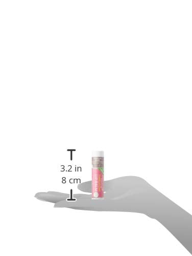 Soothing Touch Lip Balm - Vegan Vanilla Chai - Case Of 12 - .25 Oz