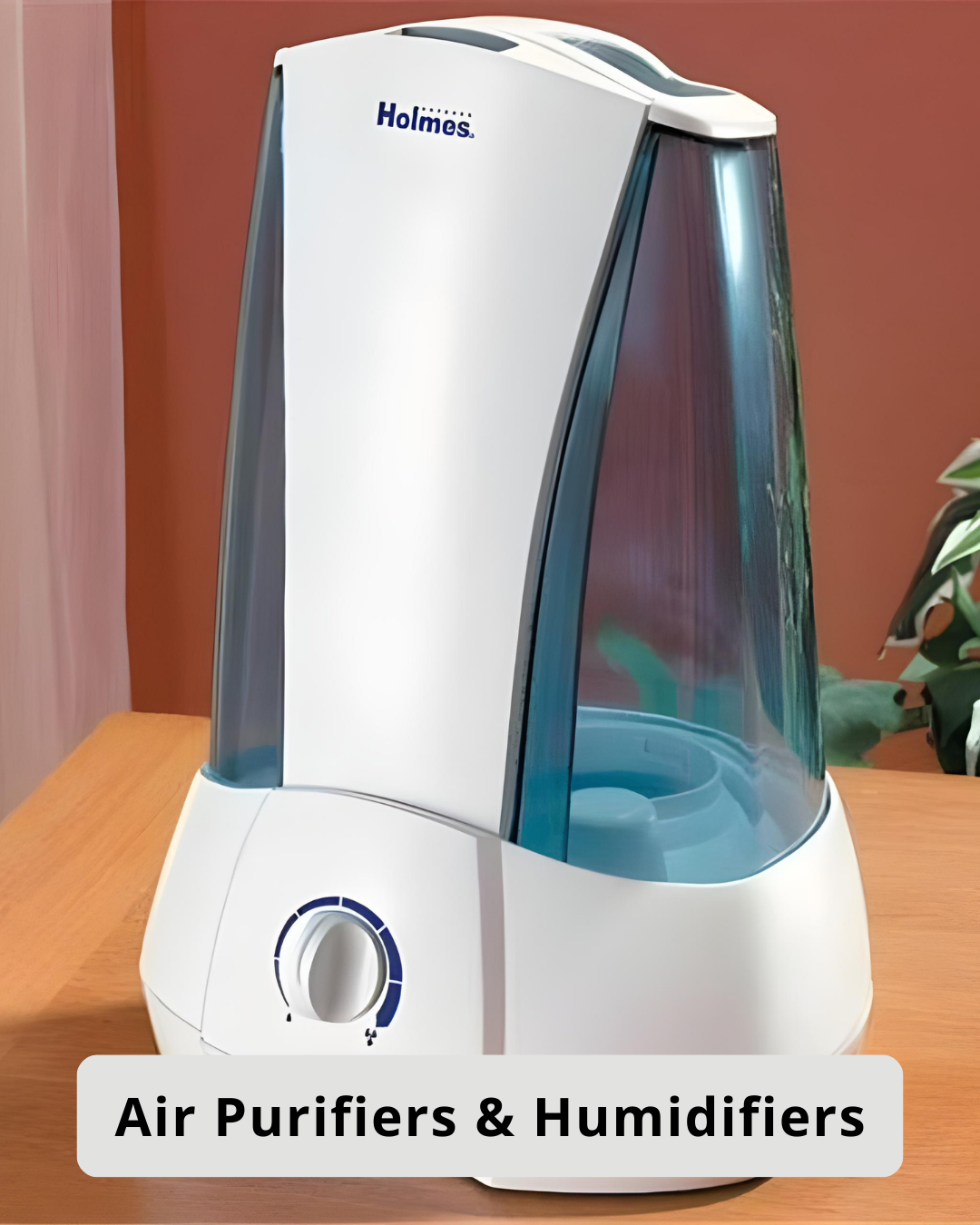 Air Purifiers & Humidifiers