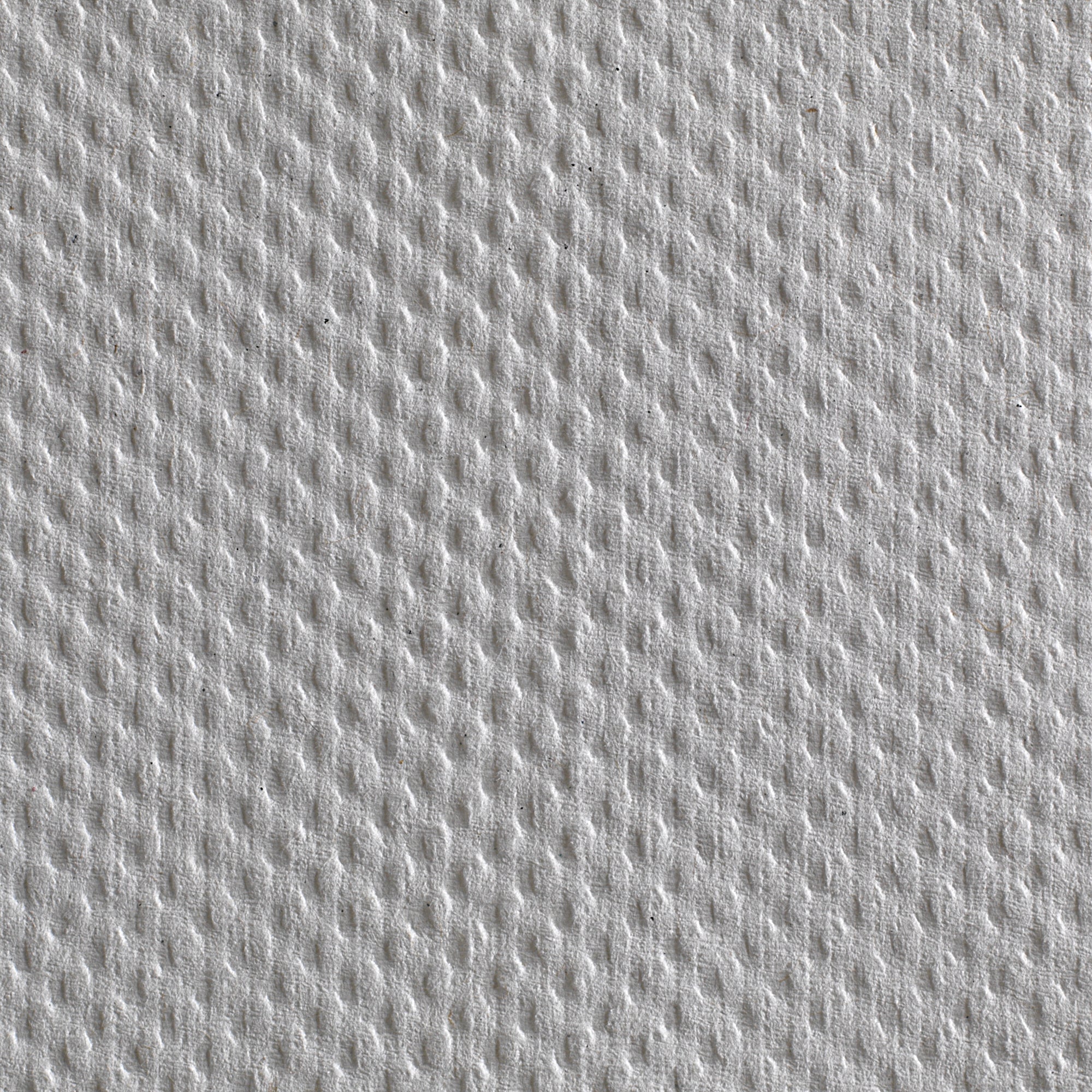 Paper Towel Pacific Blue Basic C-Fold 10 X 13 Inch | 10PK/Case
