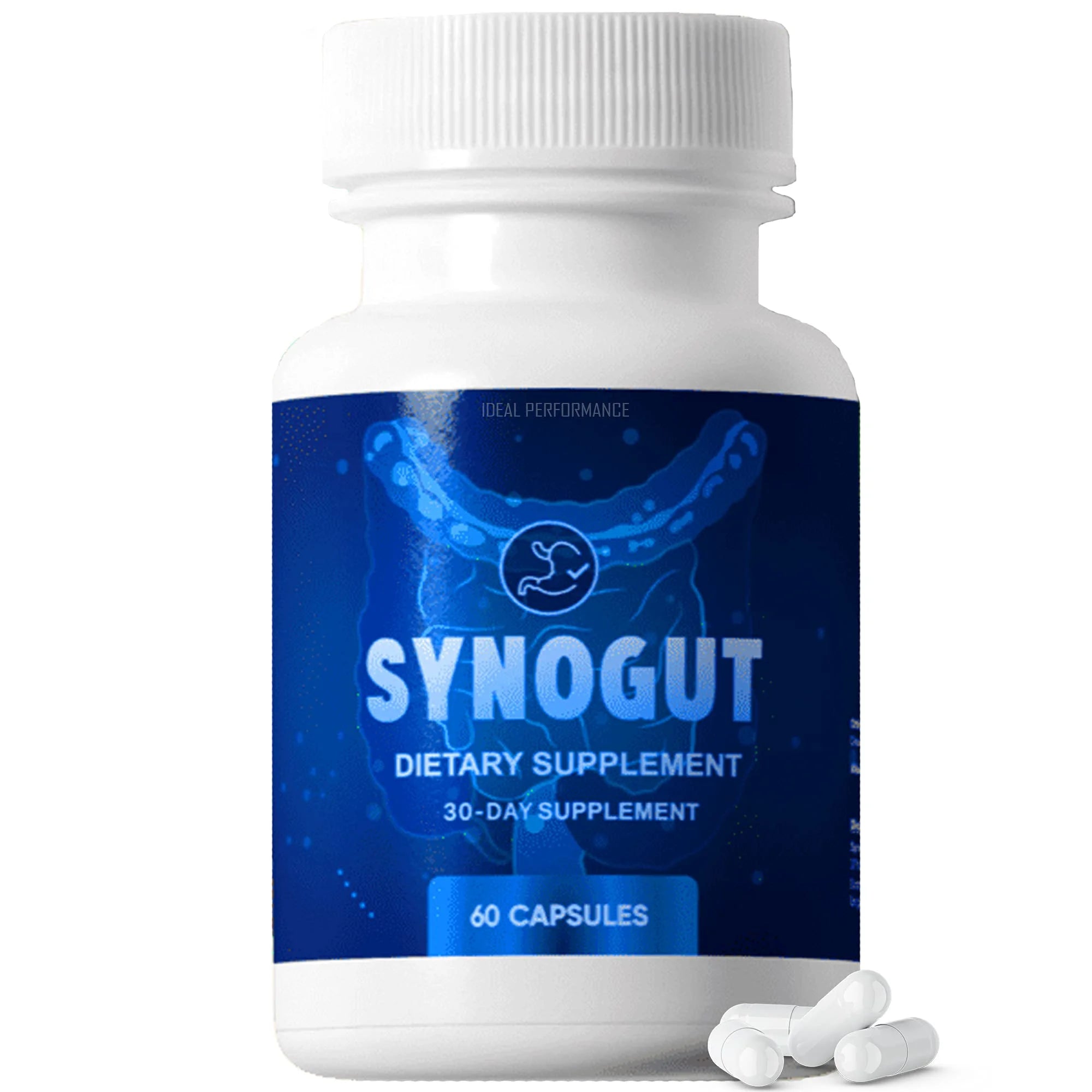 Synogut Pills Dietary Supplement for Gut Health (1 Bottle)