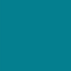 3m littmann lightweight ii s e stethoscope caribbean blue 28 inch 3m littmann lightweight ii s e general exam stethoscope mk466398ea