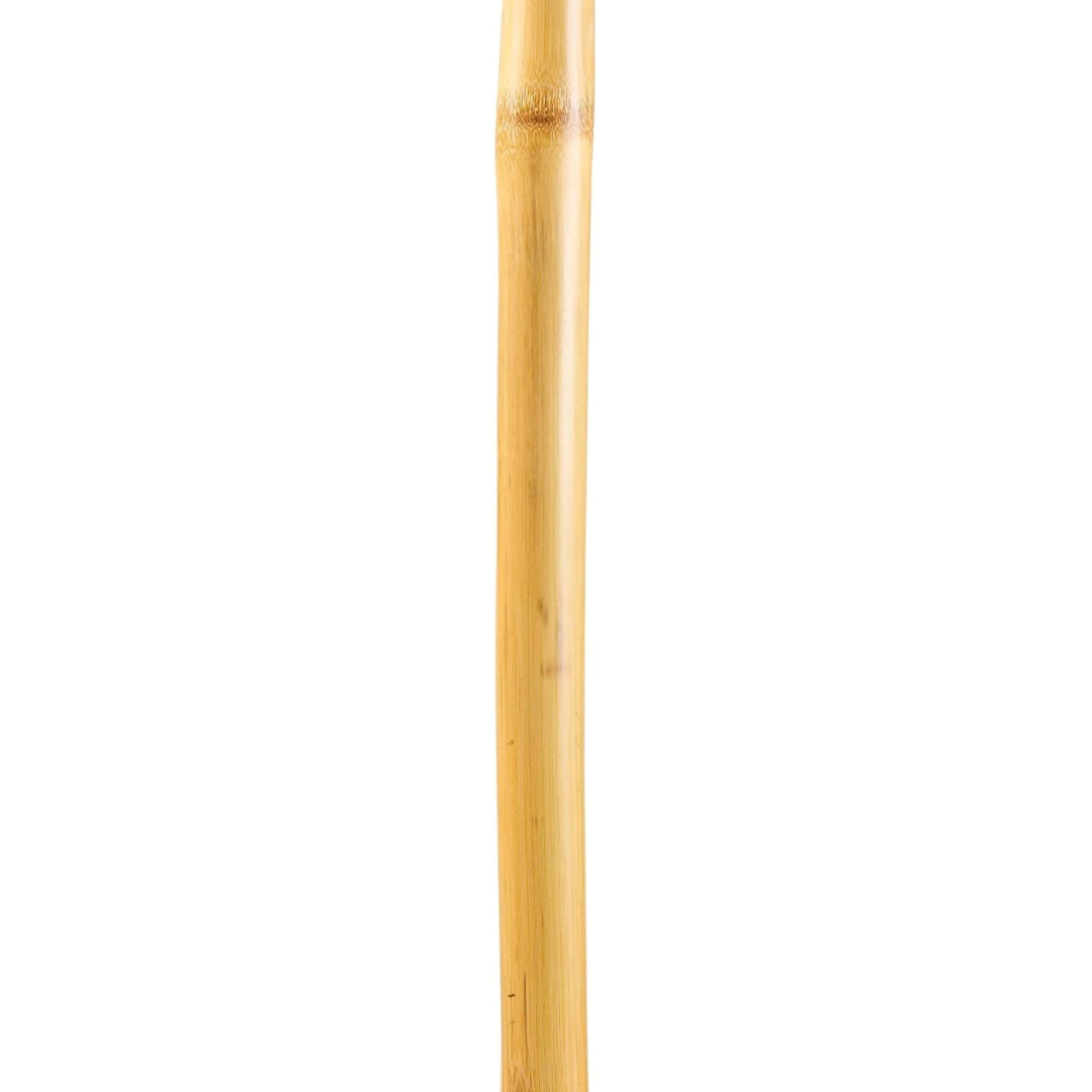 Walking Stick Brazos Free Form Wood 
