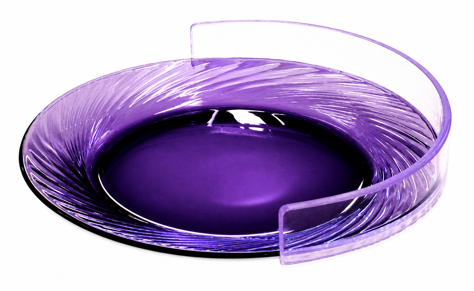 Plate Guard  Clear Large