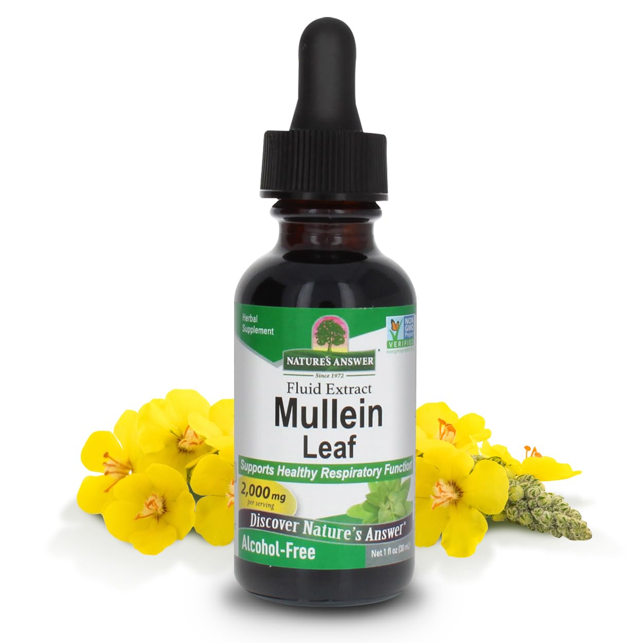 Nature's Answer - Mullein Leaf Alcohol Free - 1 Fl Oz