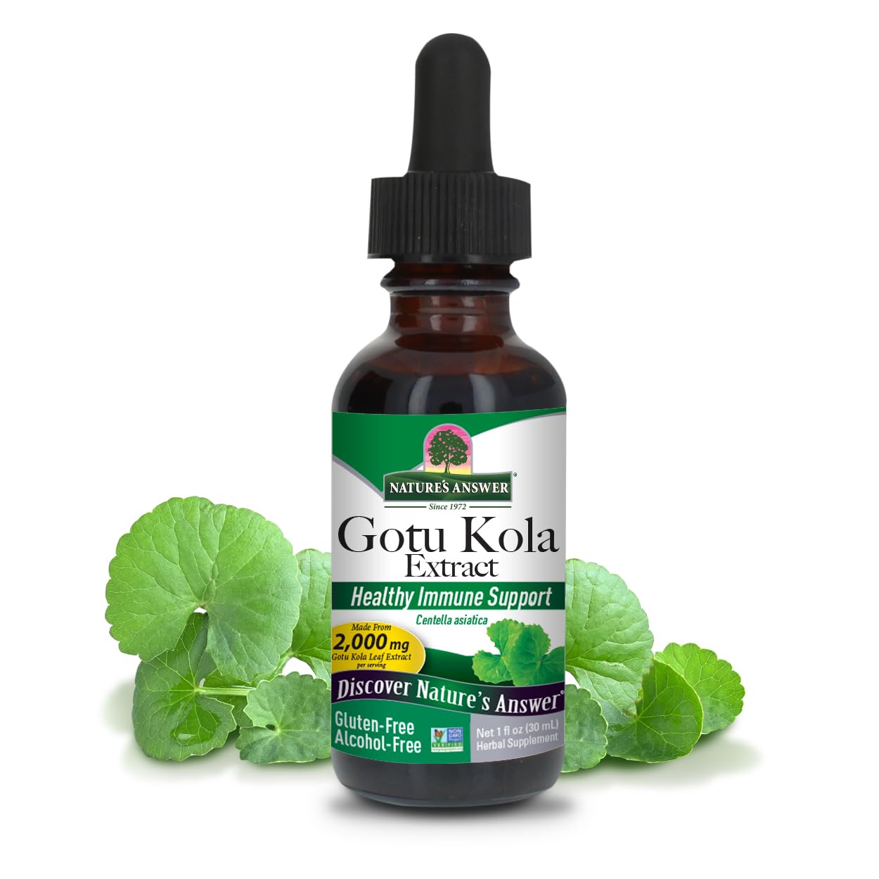 Nature's Answer - Gotu Kola Herb Alcohol Free - 1 Fl Oz