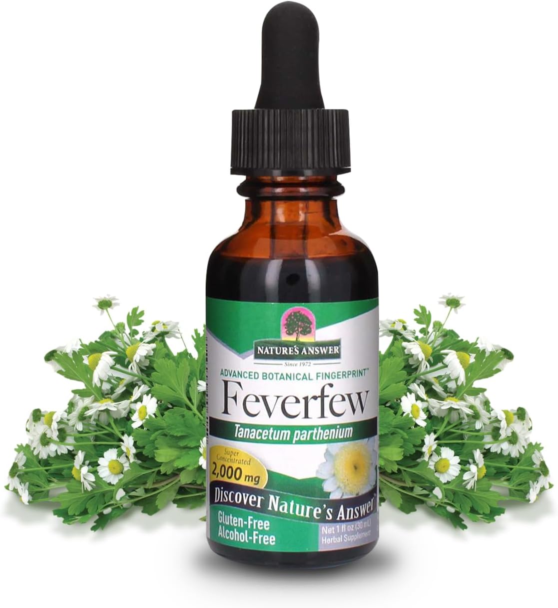 Nature's Answer - Feverfew Leaf Alcohol Free - 1 Fl Oz