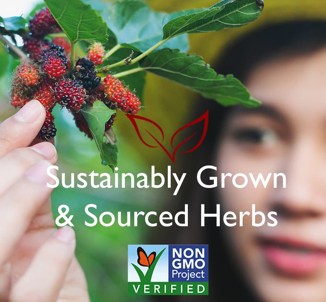 Bravo Teas And Herbs - Tea - Daily Immunity - 20 Bag
