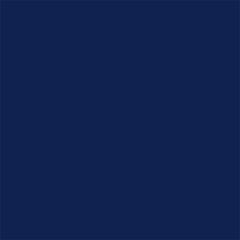 Cast Tape Delta-Lite Plus 3 Inch X 12 Foot Fiberglass / Resin Deep Blue, Packaging Type- Box