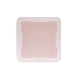 Foam Dressing Allevyn Gentle Border 5 X 5 Inch With Border Film Backing Silicone Gel Adhesive Square Sterile