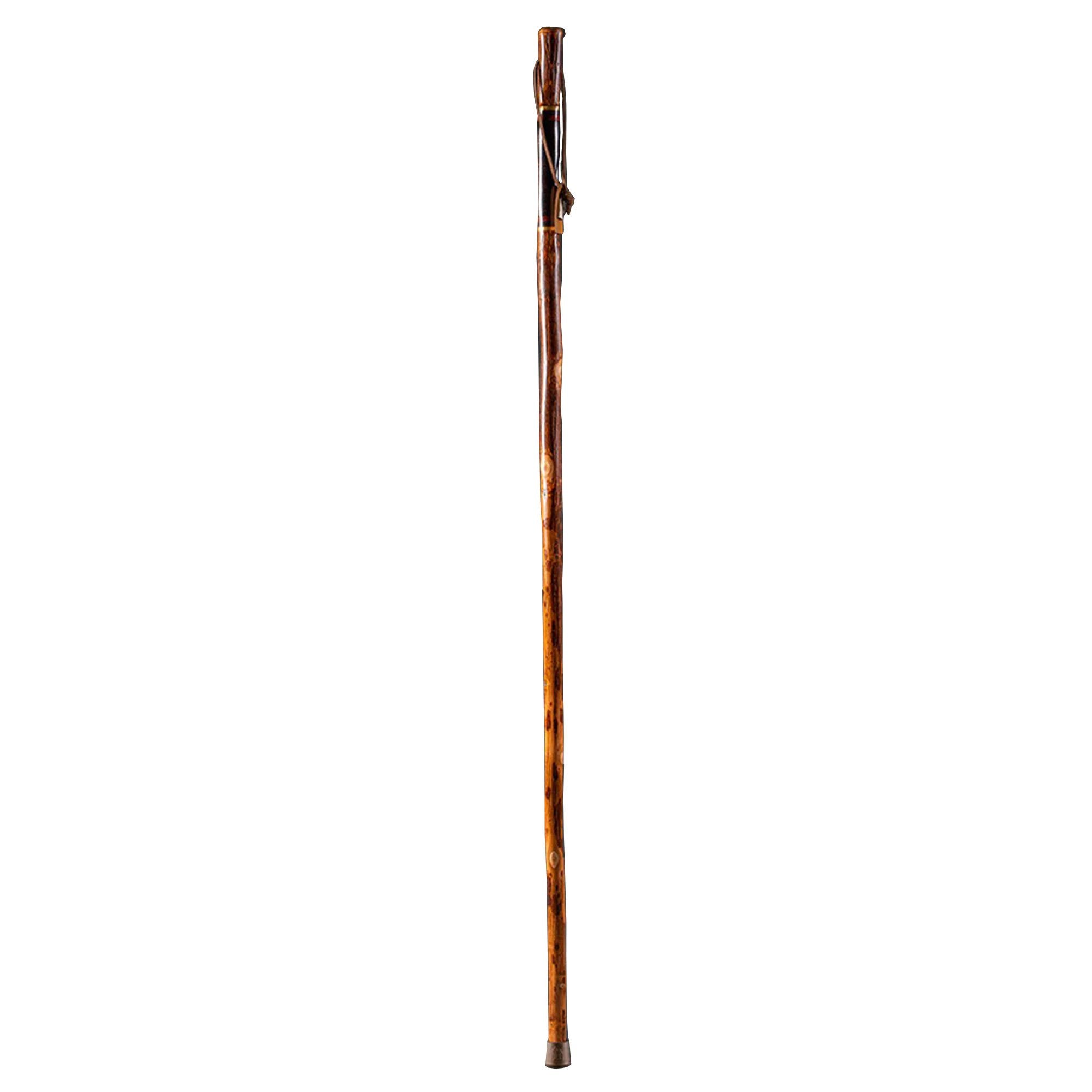 Walking Stick Brazos Free Form Wood 55 Inch Height Safari