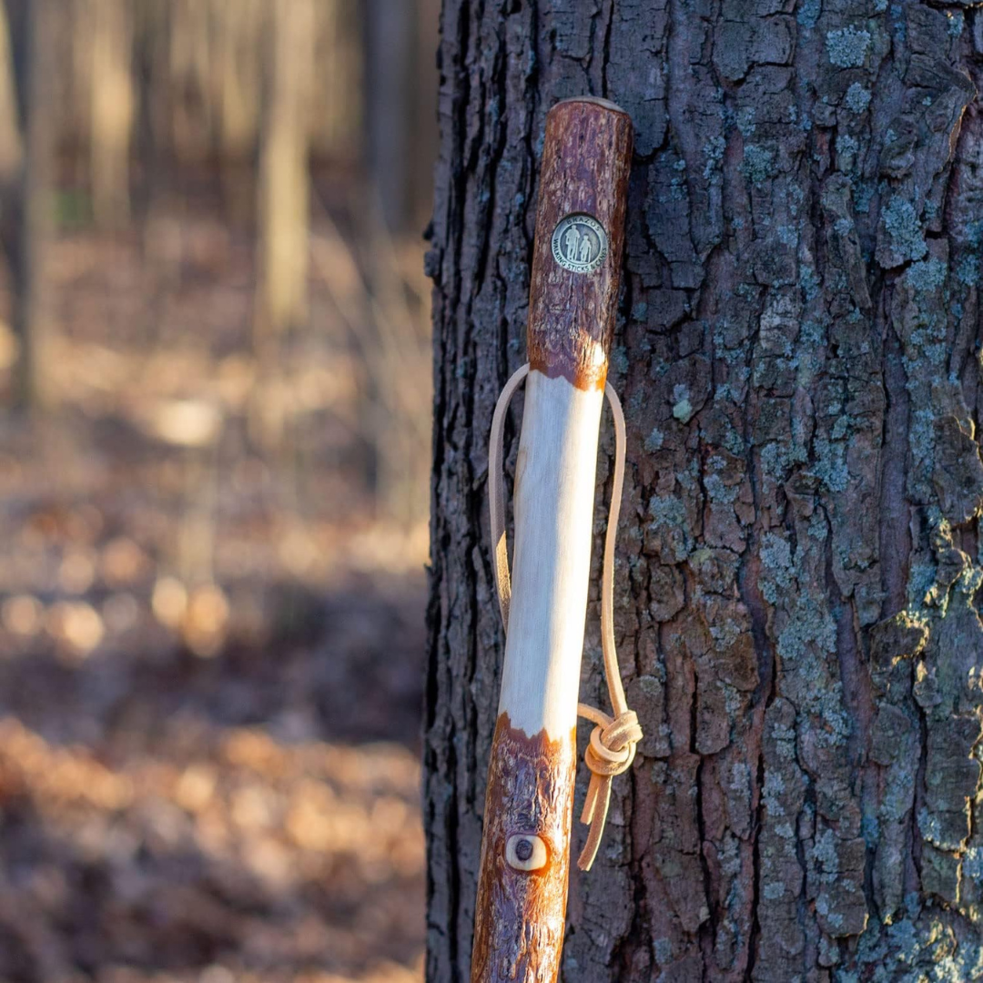 Walking Stick Brazos Twisted Trekker Wood 58 Inch Height Sassafras