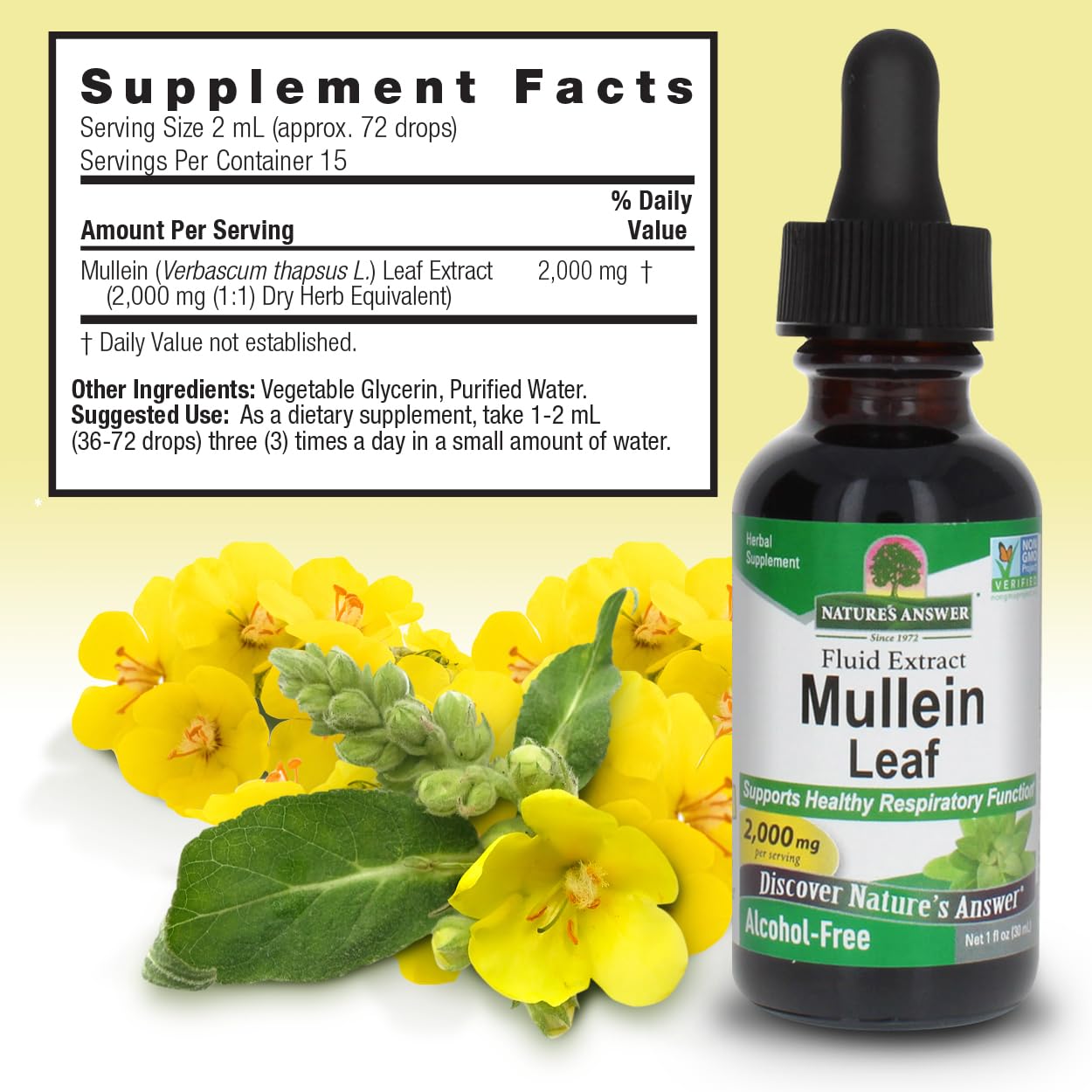 Nature's Answer - Mullein Leaf Alcohol Free - 1 Fl Oz