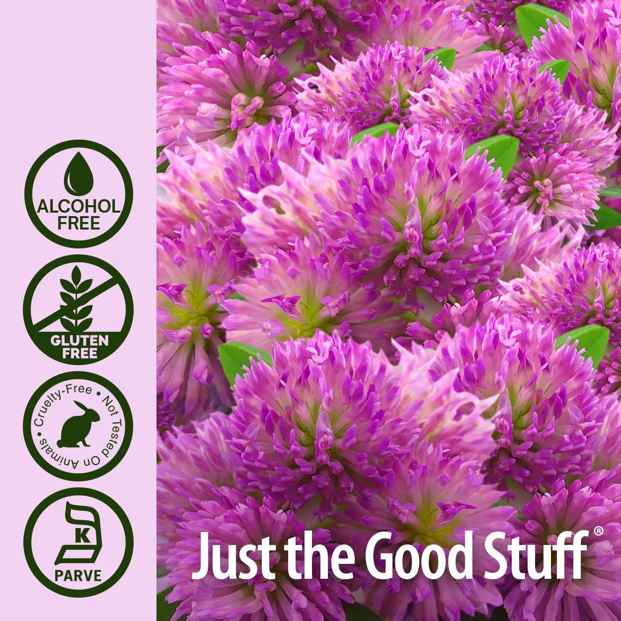 Nature's Answer - Red Clover Tops Extract - Alcohol-free - 1 Oz