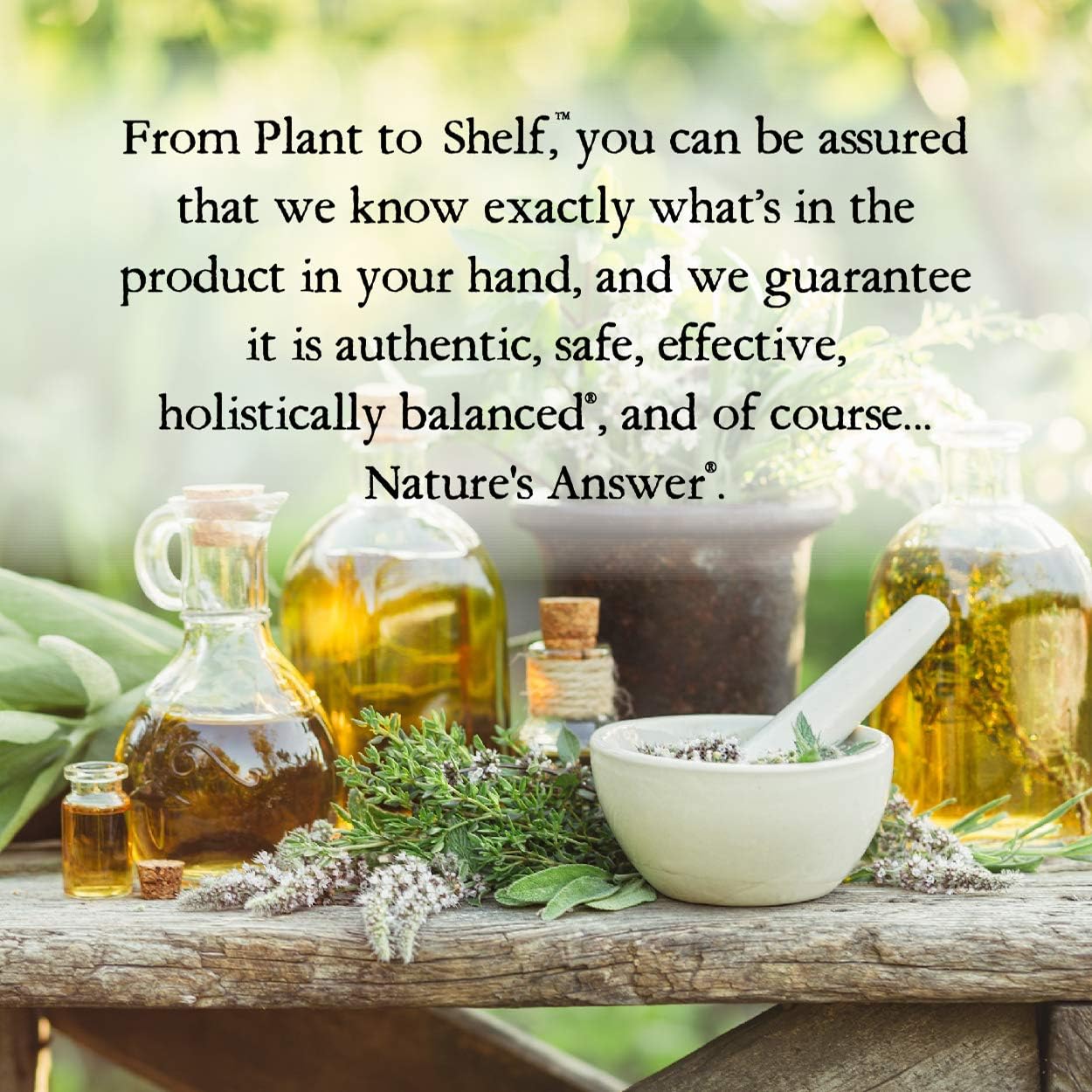 Nature's Answer - Echinacea And Goldenseal