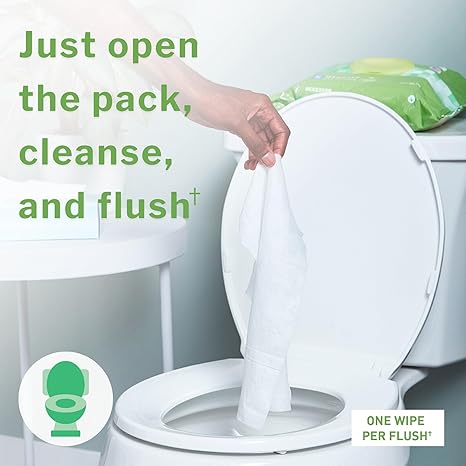 Flushable Personal Wipe McKesson Soft Pack Scented 48 Count, Packaging Type- Case