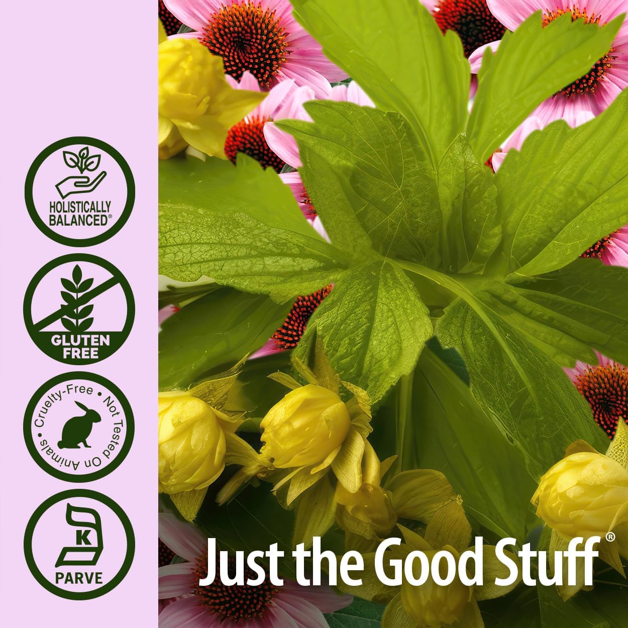 Nature's Answer - Echinacea And Goldenseal