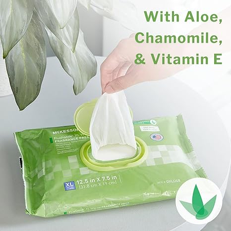 Flushable Personal Wipe McKesson Soft Pack Scented 48 Count, Packaging Type- Case