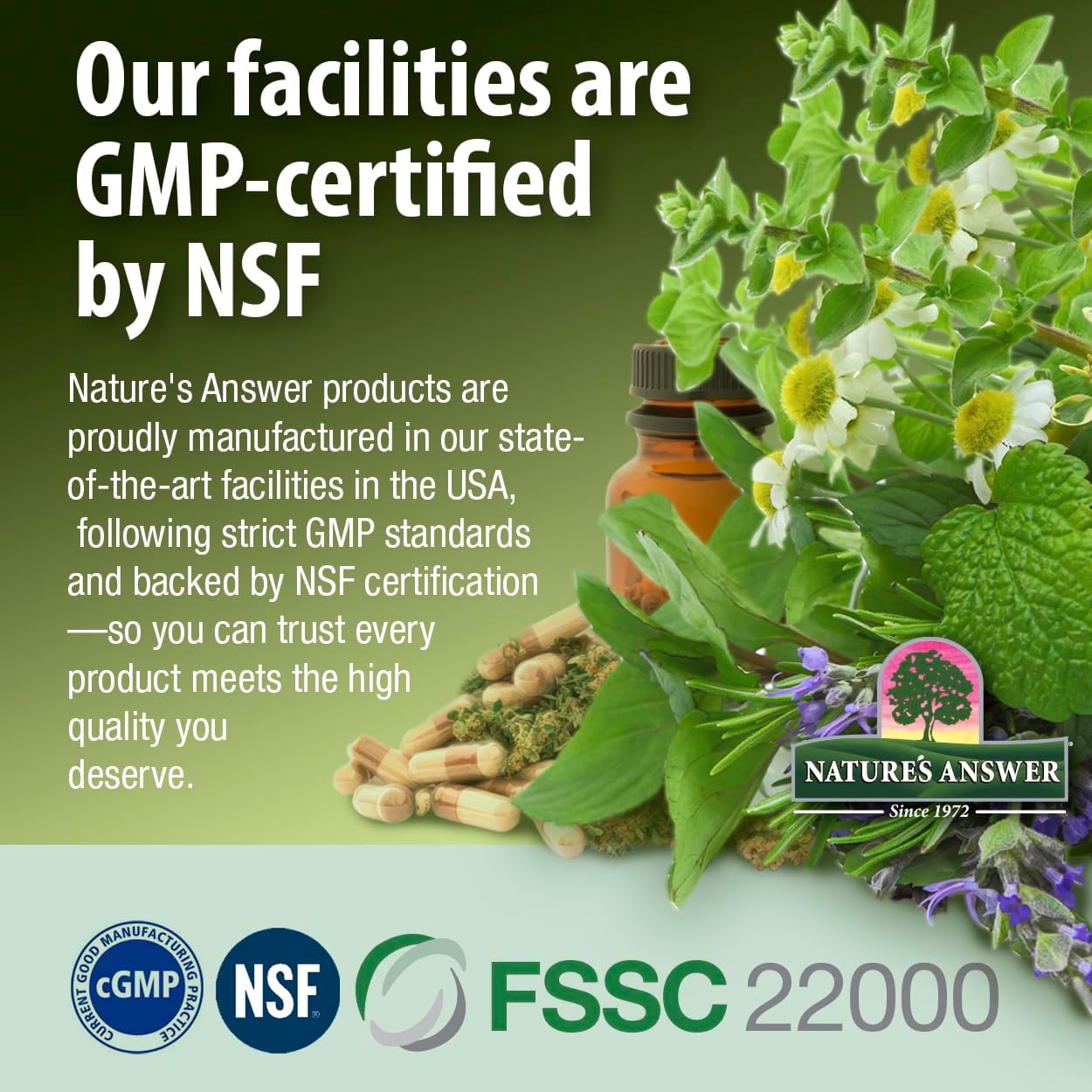 natures answer sambucus immune support 8 oz