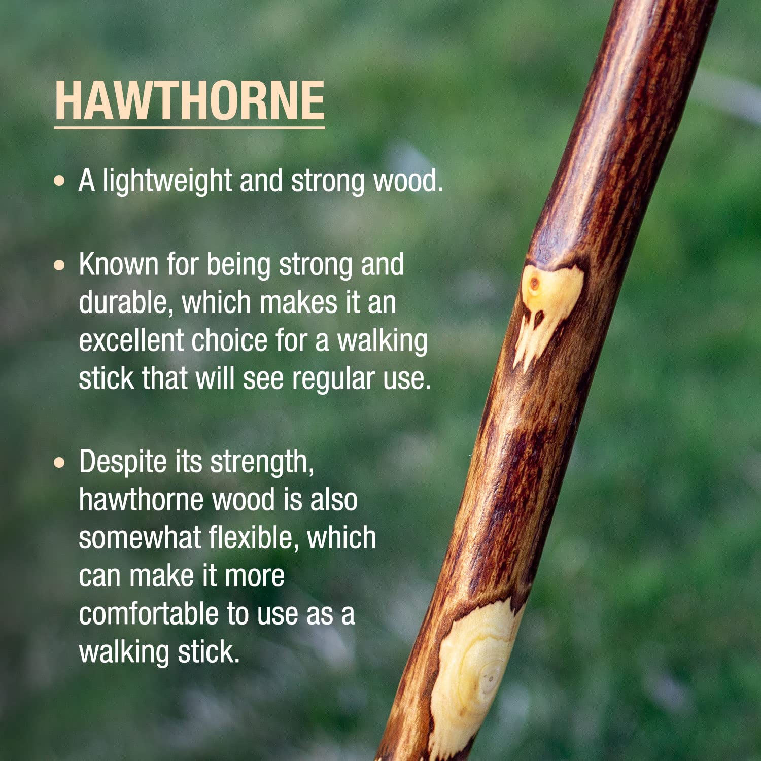 Walking Stick Brazos Free Form Wood 58 Inch Height Ironwood
