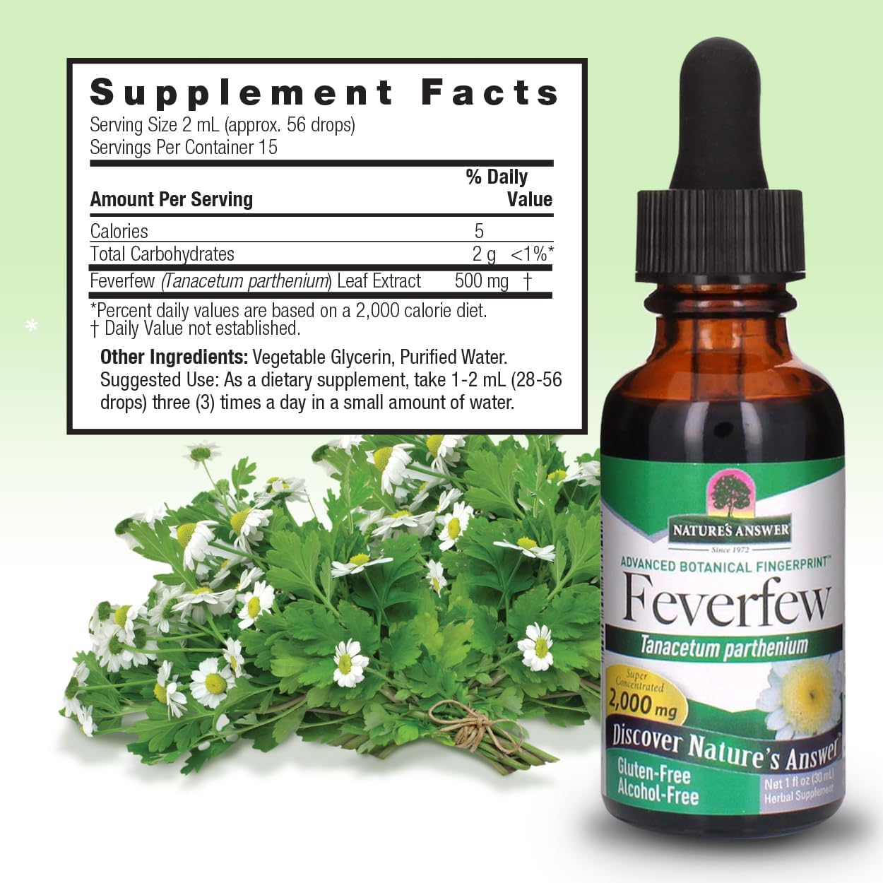 Nature's Answer - Feverfew Leaf Alcohol Free - 1 Fl Oz