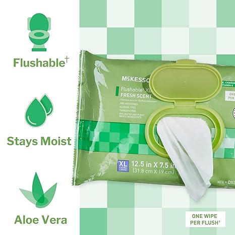 Flushable Personal Wipe McKesson Soft Pack Scented 48 Count, Packaging Type- Case