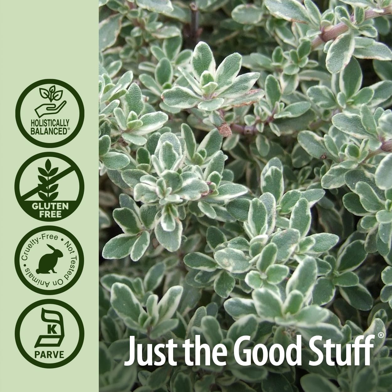 Nature's Answer - Thyme - 1 Oz