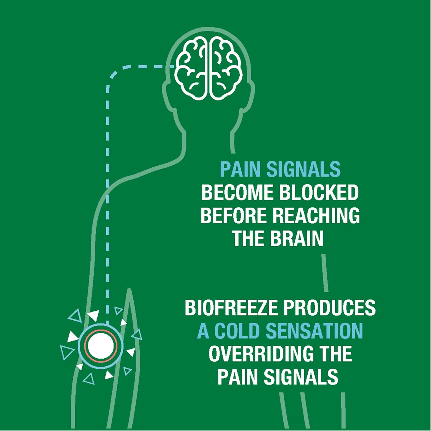 Topical Pain Relief Biofreeze 5% Strength Menthol Patch,Packaging Type- Box