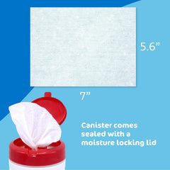 Antiseptic Skin Wipe Pharma-C-Wipes Towelette Canister, Packaging Type- Case