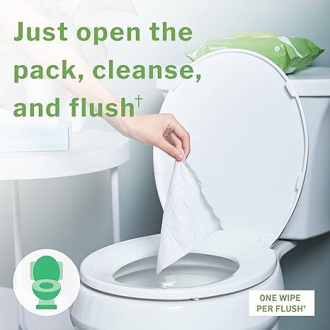 Flushable Personal Wipe McKesson Soft Pack Unscented 48 Count, Packaging Type- Case